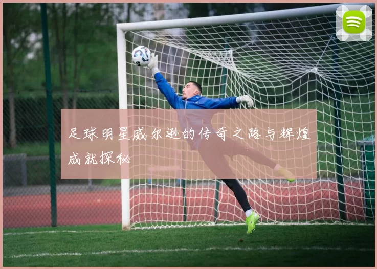 足球明星威尔逊的传奇之路与辉煌成就探秘