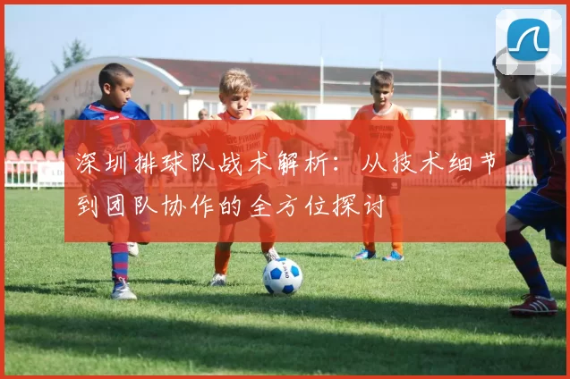 深圳排球队战术解析：从技术细节到团队协作的全方位探讨