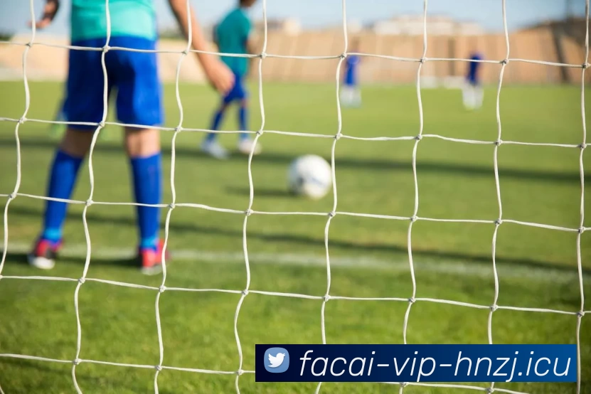 开云体育平台生态图