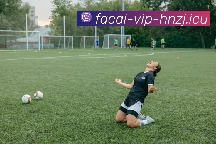 开云体育APP 封面图